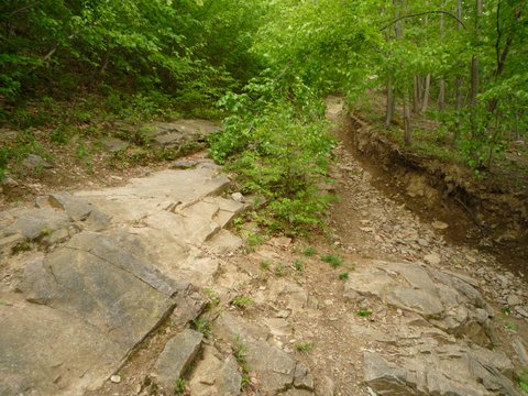 Erosion on Casino Trail, Mount Beacon Park, Mount Beacon, NY