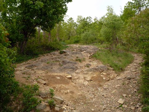Erosion on Casino Trail, Mount Beacon Park, Mount Beacon, NY