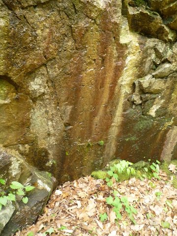 Wet rock face, Fishkill Ridge Trail, Fishkill, NY