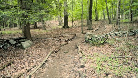 Trail, Mianus River Gorge, Westchester County, NY