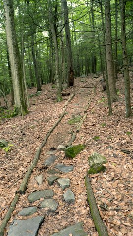 Trail, Mianus River Gorge, Westchester County, NY