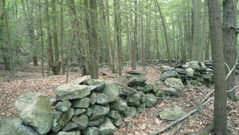 Stone wall, Mianus River Gorge, Westchester County, NY