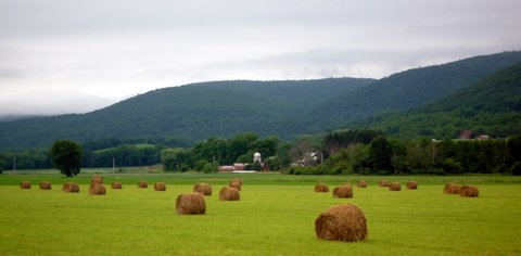 Farmland beside Route 22, New York