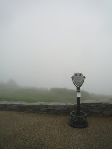 Foggy observation point, Mr. Greylock, MA