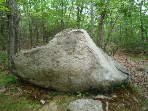 Bear Rock Petroglyph, Ward Pound Ridge Reservation, Westchester County, NY