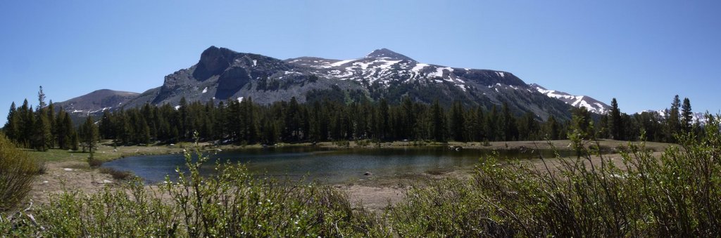 Pond at Dana Meadows, Yosemite National Park, California