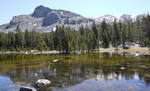 Pond at Dana Meadows, Yosemite National Park, California