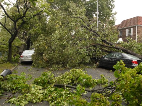Storm damage, 69th Road, Kew Gardens Hills, NY