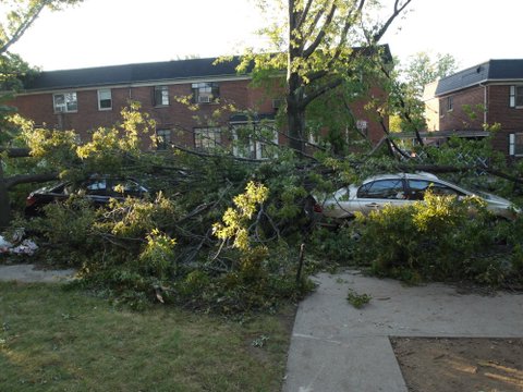 Storm damage on 70th Ave., Kew Gardens Hills, NYC