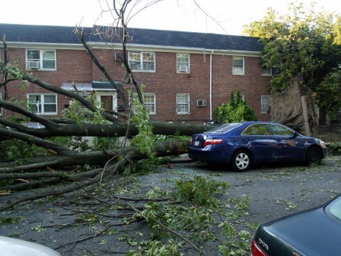 Storm Damage on 70th Ave., Kew Gardens Hills, NYC