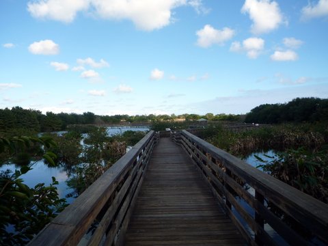 Boardwalk, Wakodahatchee Wetlands, Palm Beach County, Florida