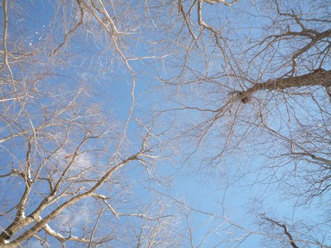 Blue winter sky