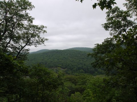 View from Agony Grind, Appalachian Trail, NY