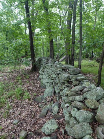 Stone walls, Sterling Forest State Park, NY