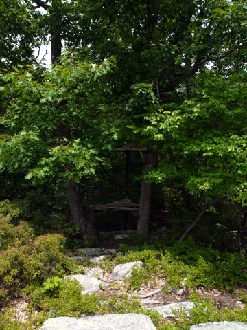 http://www.lowmileage.com/2011/2011_07/2011_Stonetown/thumbs/p1120387a.jpg