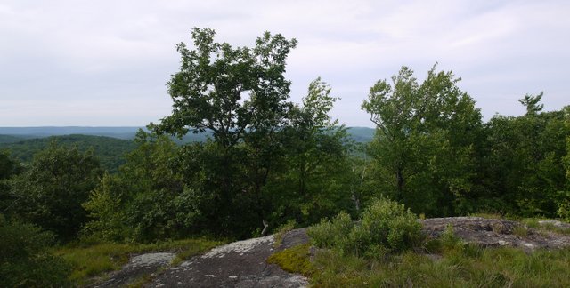 View from Bear Mountain, North Jersey District Water Supply Commission, NJ