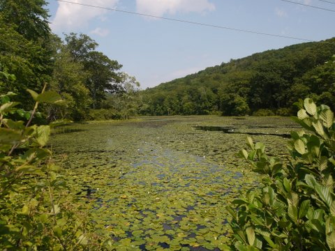 Sterling Lake