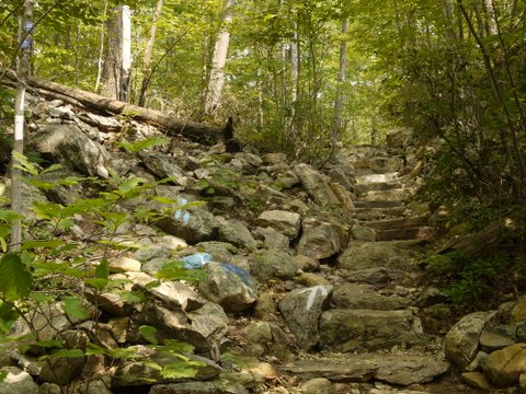 Intersection of Appalachian Trail and Fahnestock Trail, Fahnestock State Park, NY