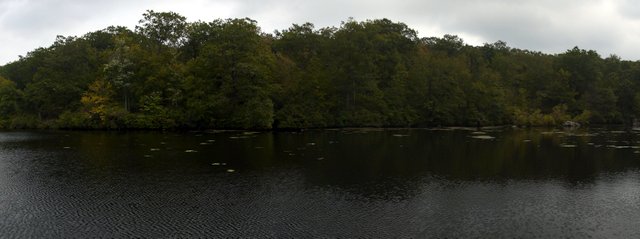 Beaver Pond, Fahnestock State Park, NY