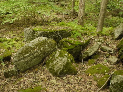 Mossy Rocks at Fahnestock State Park, NY