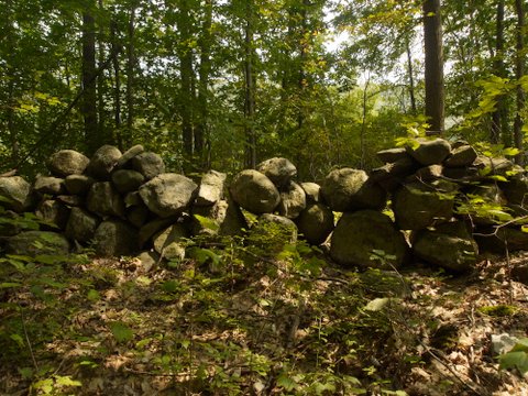 Stone Wall at Fahnestock State Park, NY