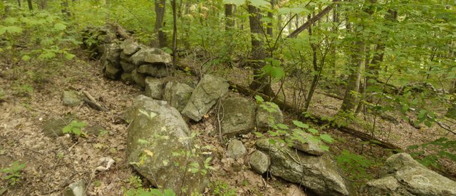 Stone wall on Perkins Trail, Fahnestock State Park, NY