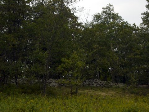 Stone wall, Perkins Trail, Fahnestock State Park, NY
