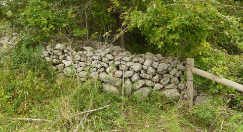 Stone Wall, Fahnestock State Park, NY
