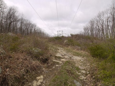 Driveway to powerline tower, Splitrock Reservoir, NJ