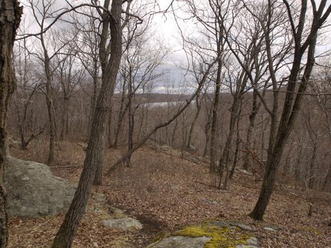 Scenic View, Blue Trail, Splitrock Reservoir, NJ