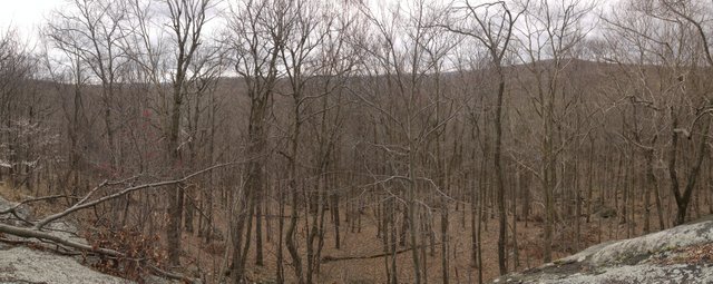 Stitched panorama, Blue Trail, Splitrock Reservoir, NJ