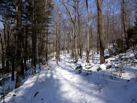 Menomine Trail, Harriman State Park, NY
