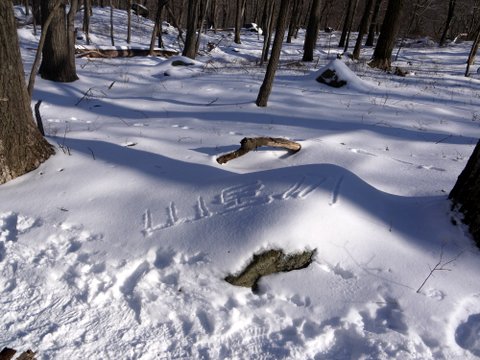 Snow Graffiti, Harriman State Park, NY