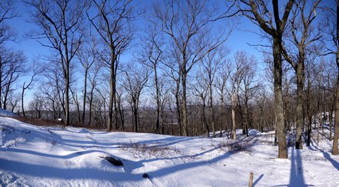 Scenic View from Stockbridge Mountain, Harriman State Park, NY