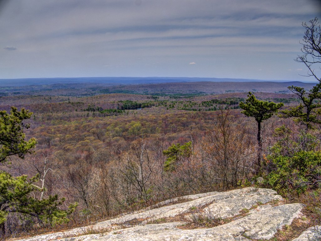 p1180244_5_fused.jpg