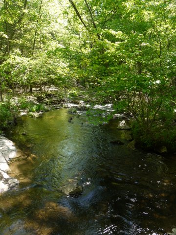 Jennings Creek, Sterling Forest, NY