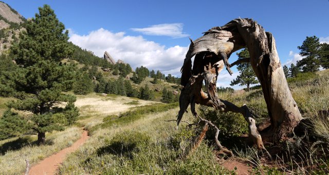 Flatirons from Mesa Trail, Boulder Mountain Park, Boulder, Colorado