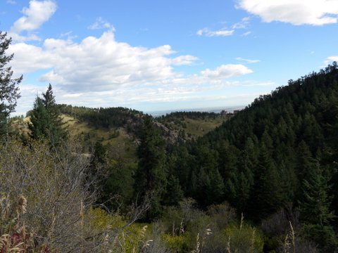 Scenery on the Bear Canyon trail, Boulder Mountain Park, Boulder, Colorado