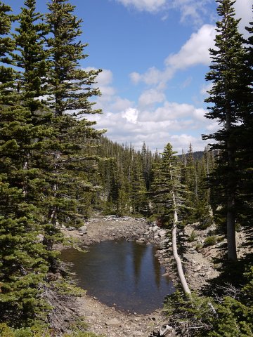 Unnamed pond, Rocky Mountain National Park, Colorado