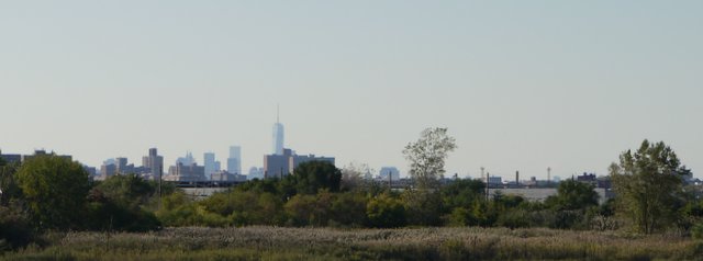 World Trade Center from the Shore Park Greenway
