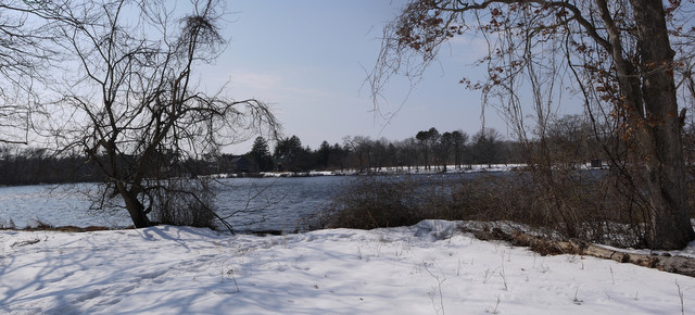 Main pond, Connetquot River State Park Preserve, Suffolk County, New York