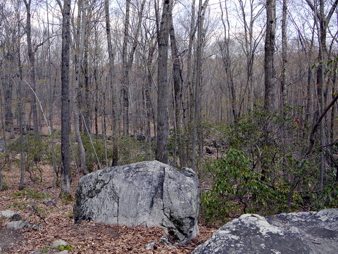 Rocks, Devil's Den Preserve, Fairfield County, Connecticut