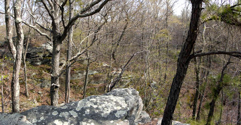 View from Ambler Trail Vista, Devil's Den Preserve, Fairfield County, Connecticut